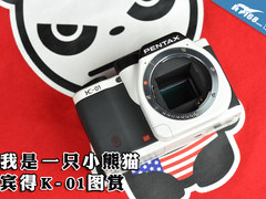天生就一张熊猫脸 宾得K-01白色版图赏