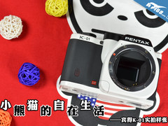 小熊猫的自在生活 宾得K-01实拍样张