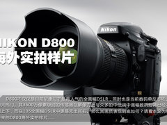 六支镜头实拍 尼康D800非官方实拍样片