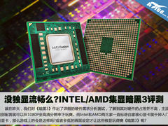 没独显流畅么?INTEL/AMD集显暗黑3评测