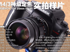 M4/3夜之眼 福伦达25mm F0.95实拍样片