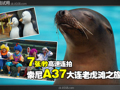 7张/秒高速连拍 索尼A37大连老虎滩之旅