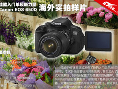 佳能入门单反新力量 EOS 650D海外样片