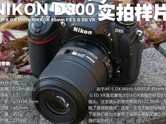 搭配D300 尼康微距85mmF3.5GVR实拍样片