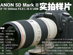 完美搭配 佳能5D2配70-200mmII实拍样片