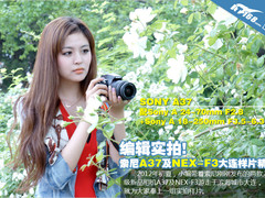 编辑实拍 索尼A37及NEX-F3大连样片精选