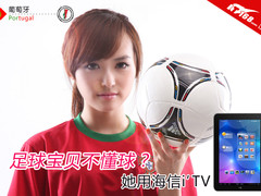 最爆笑足球宝贝 用平板电脑看欧洲杯