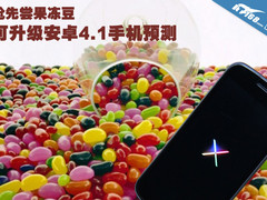 抢先尝果冻豆 可升级安卓4.1手机预测