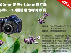 200mm定焦+14mm超广 宾得K-30样片欣赏