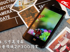 4.5寸720P高清屏 卓普领域ZP300图赏
