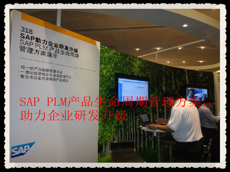 SAP中国同略会十大服务和方案精彩赏析