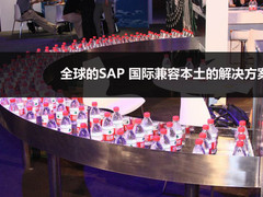 全球的SAP 国际兼容本土的解决方案