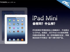 有没有/什么样？ 苹果iPad mini大猜想