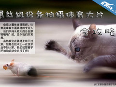 运动摄影大揭秘 屌丝器材拍出专业效果