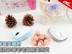 就是卖萌的 两款长城宅宅鼠精美图赏