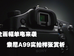 全幅单电袭来 索尼全幅A99实拍样片赏析