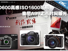 D600高感ISO1600可用 A99上市时间曝光