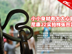 小小身材有大心脏 尼康J2实拍样张图赏