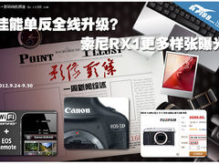 佳能单反全线升级 索尼RX1更多样张曝光