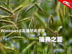 [图赏]Win7和Win8通用主题《瑞典之夏》