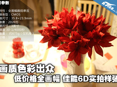 画质色彩出众 低价全幅佳能6D实拍样张