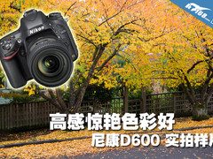 高感惊艳色彩好 尼康D600实拍样片欣赏
