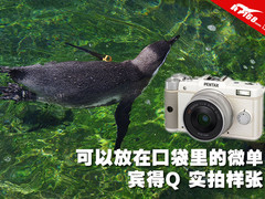 可以放在口袋里的微单 宾得Q实拍样张集