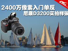 2400万像素入门单反 尼康D3200实拍样张