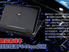 全能游戏战士 顶配镭波F640mx美图赏析