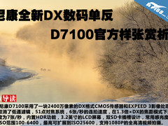 尼康全新DX数码单反D7100官方样张赏析