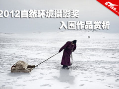 2012自然环境摄影奖 入围作品图片赏析