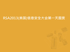 近距离感受RSA2013 最新现场花絮图赏