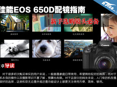 学摄影必备镜头 佳能EOS 650D配镜指南