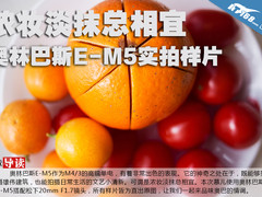 浓妆淡抹总相宜 奥林巴斯E-M5实拍样片