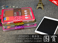 冬去春来 奥多友iPad Mini保护套图赏