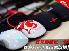 好兄弟都长一个样 赛睿Sensei Raw图赏