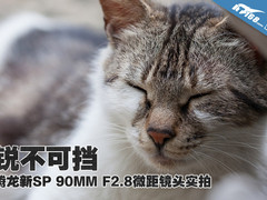 锐不可档 腾龙新SP 90MM微距镜头实拍
