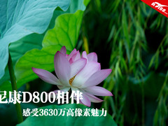 尼康D800相伴 感受3630万高像素魅力