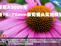 索尼A3000与新16-70mm蔡司镜头实拍样张