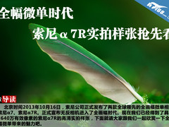 全幅微单时代 索尼α7R实拍样张抢先看