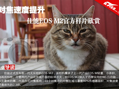 对焦速度提升 佳能EOS M2官方样片欣赏