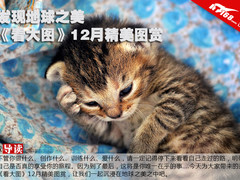 发现地球之美 《看大图》12月美图赏析