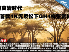 超高清时代 首款4K无反松下GH4样张赏析