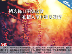 精选每日图集欣赏 在情人节中遇见爱情