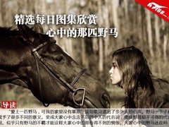 精选每日图集欣赏 心中的那匹野马