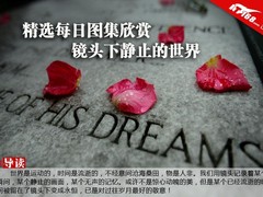 精选每日图集欣赏 镜头下的静止的世界
