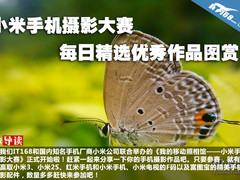 小米手机摄影大赛每日精选优秀作品图赏