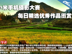 小米手机摄影大赛每日精选优秀作品图赏
