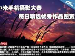 小米手机摄影大赛每日精选优秀作品图赏