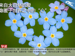来自大自然的爱 隐匿于世界之中的"心"